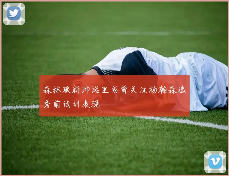 森林狼新帅诺里或曾关注杨瀚森选秀前试训表现